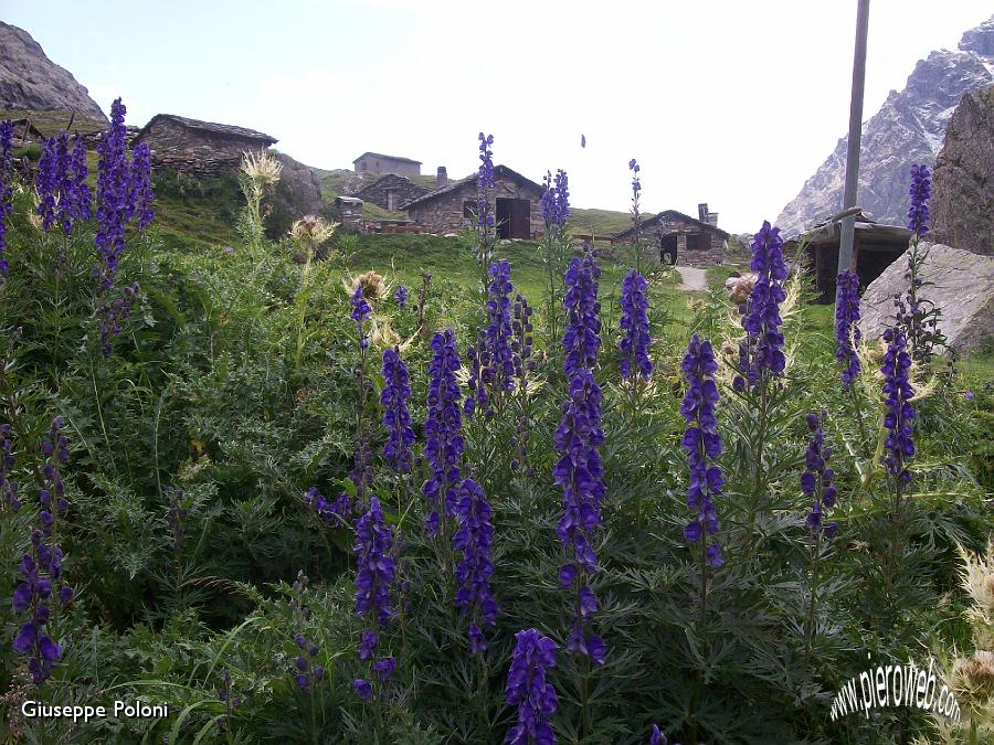 10 Il suggestivo borgo dell'Alpe Gembrè .jpg